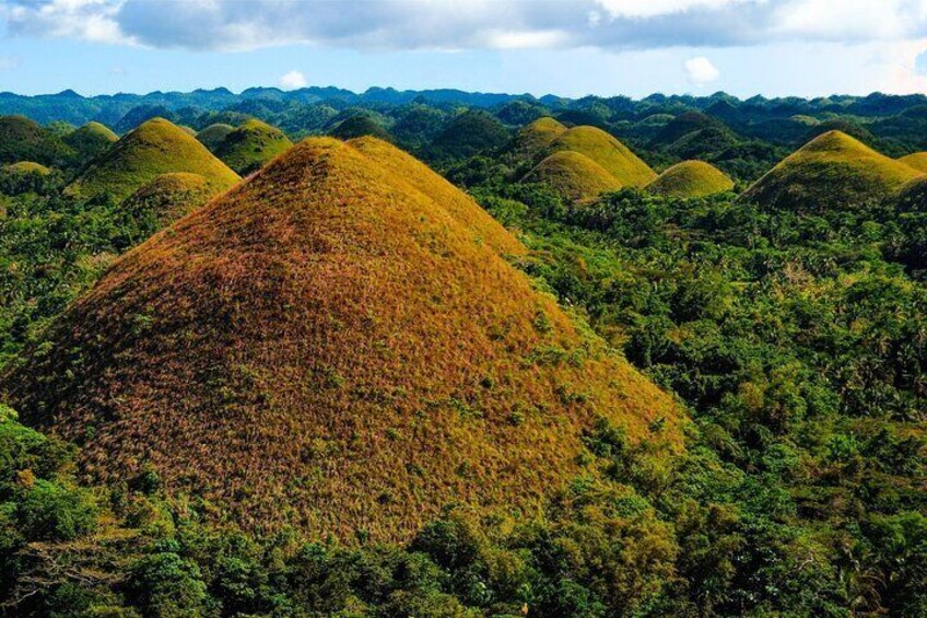Private 2 Days and 1 nights in Bohol Tour Packages