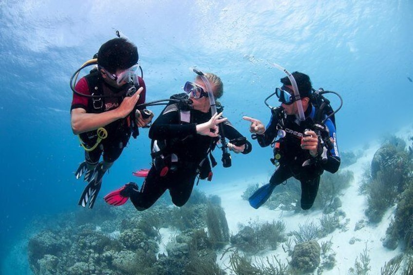 Show item 1 of 18. PADI Advanced Open Water Diver Course