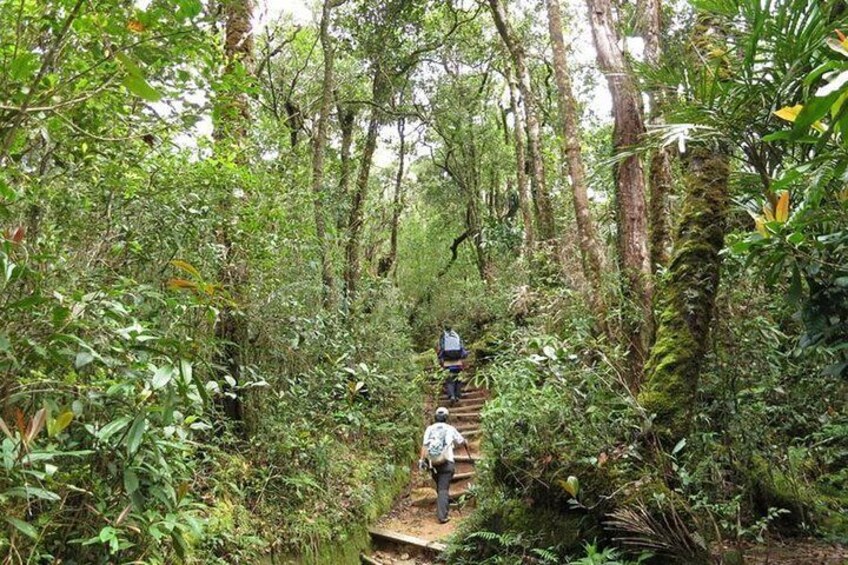 Kinabalu Park