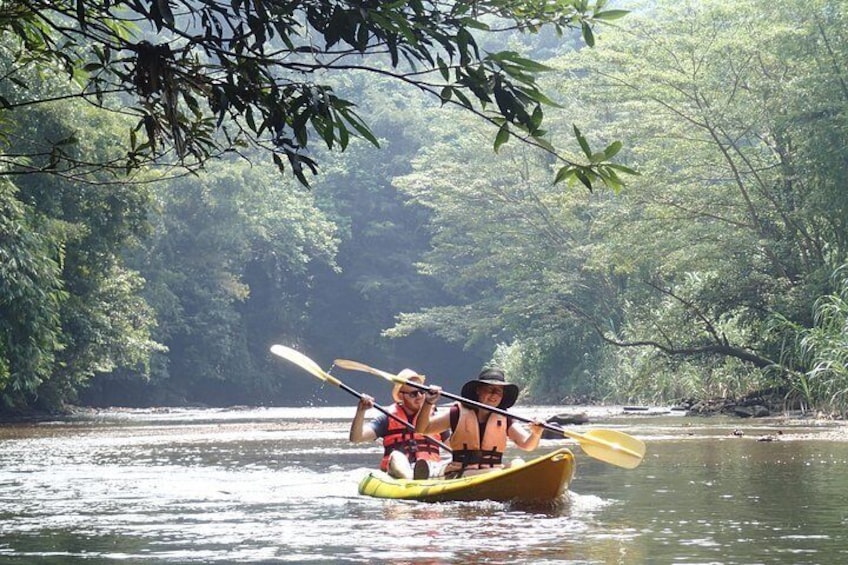 Fun Filled Kayaking Adventure in Kuching