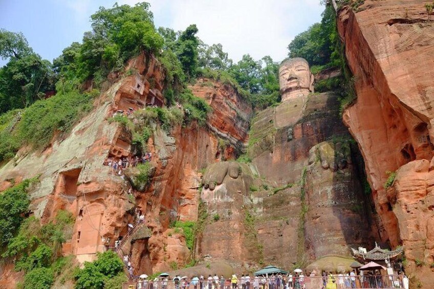 Chengdu Panda base and Leshan Giant Buddha one day private tour