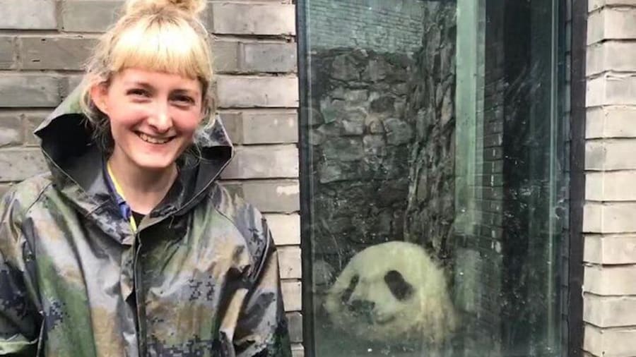 dujiangyan panda volunteer