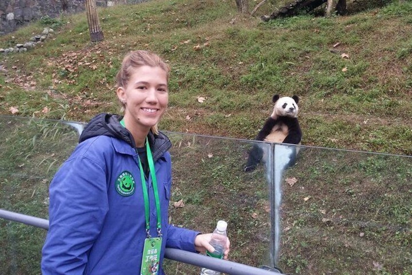 dujiangyan panda volunteer