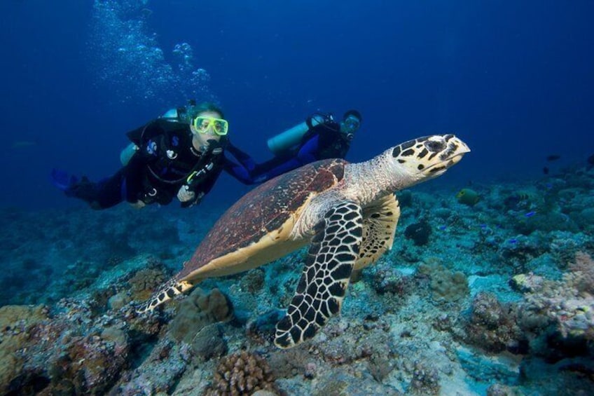 PADI Sidemount Diver Course @ Anilao Batangas