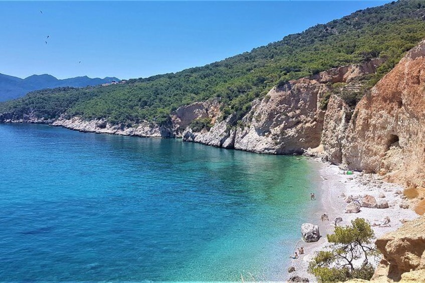 Unique Sailing Experience from Athens to Agistri, Moni, and Aegina