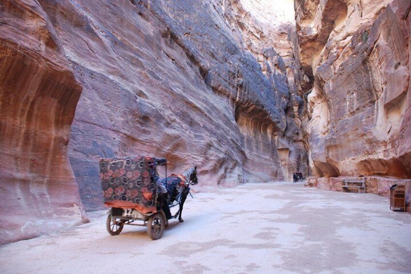 Donkey Taxi - Petra