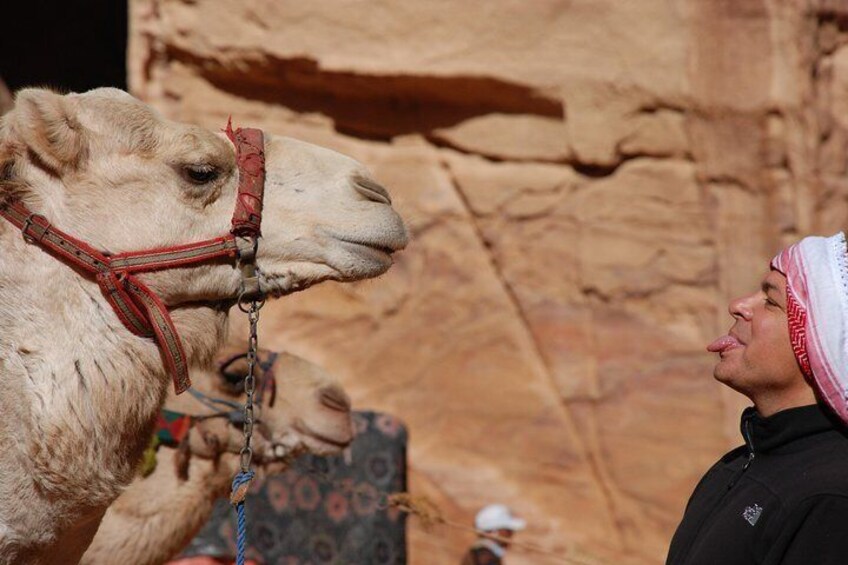 Local Bedouins