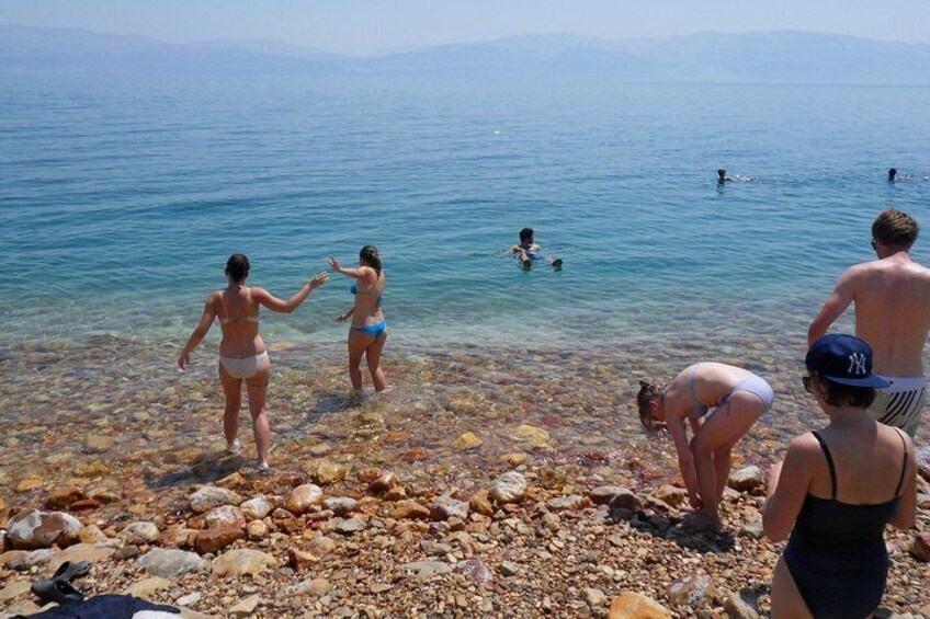 Dead Sea, Masada at Sunrise & Ein Gedi Nature Reserve Tour from Jerusalem