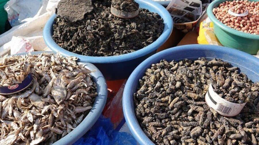 Swakopmund Historical Cultural Local Food Township Day Tours