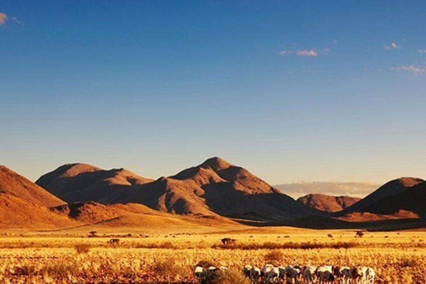 Show item 1 of 6. Damaraland