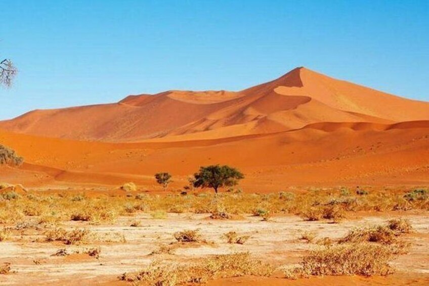 Show item 3 of 6. damaraland