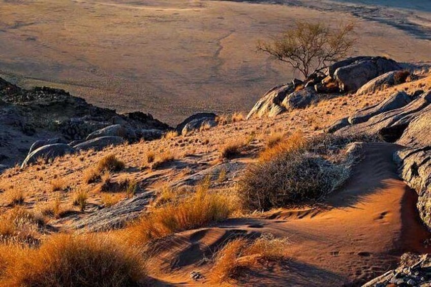 Show item 5 of 6. 4 Day Damaraland & Skeleton Coast-Namibia (Accommodated)