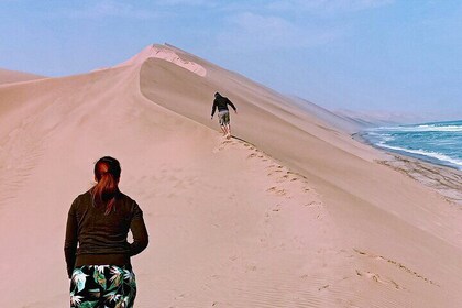 Excursión de día completo a Sandwich Harbor y Pelican Point