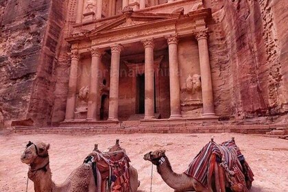 petra private day tour from Aqaba