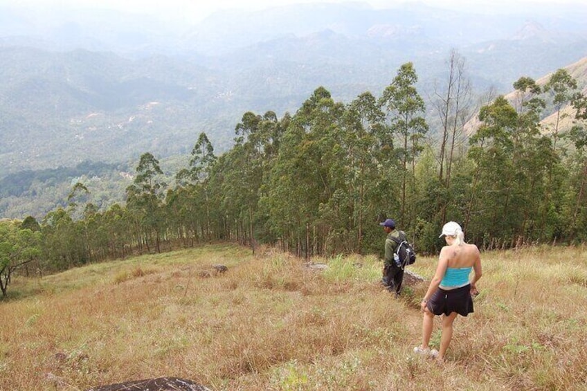 Lemon Grass land walks