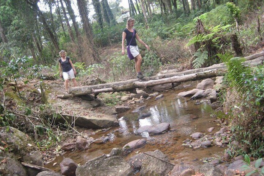 Munnar Letchmi hills Trekking