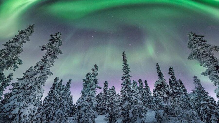 Aurora Borealis