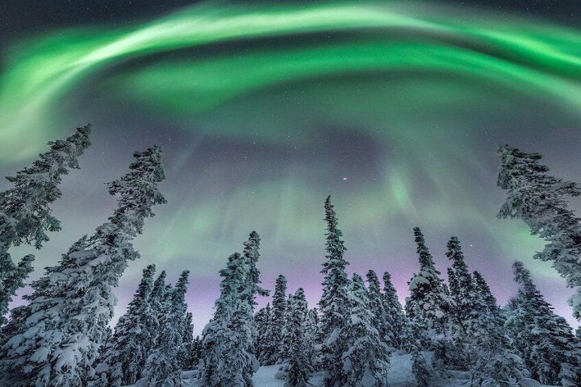 Aurora Borealis
