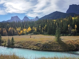 Wilderness Walking Tour