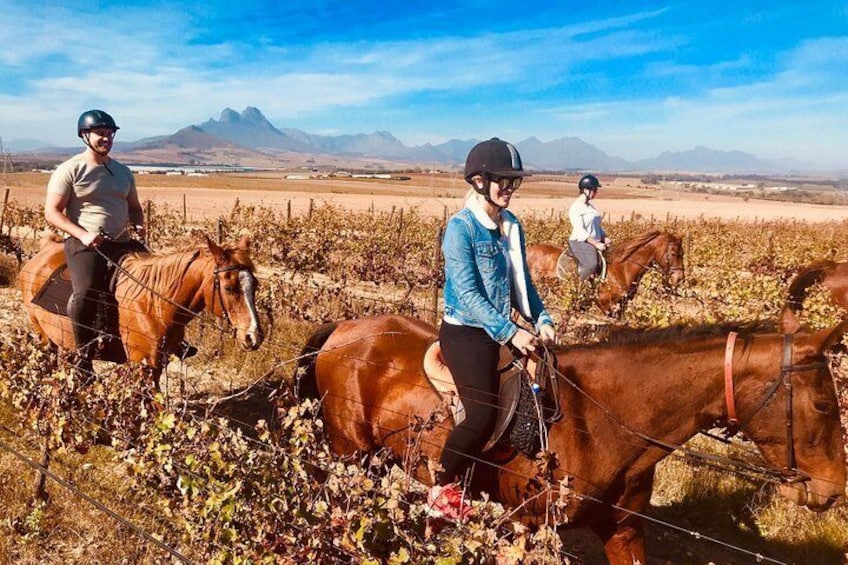 Trail riding in the winelands