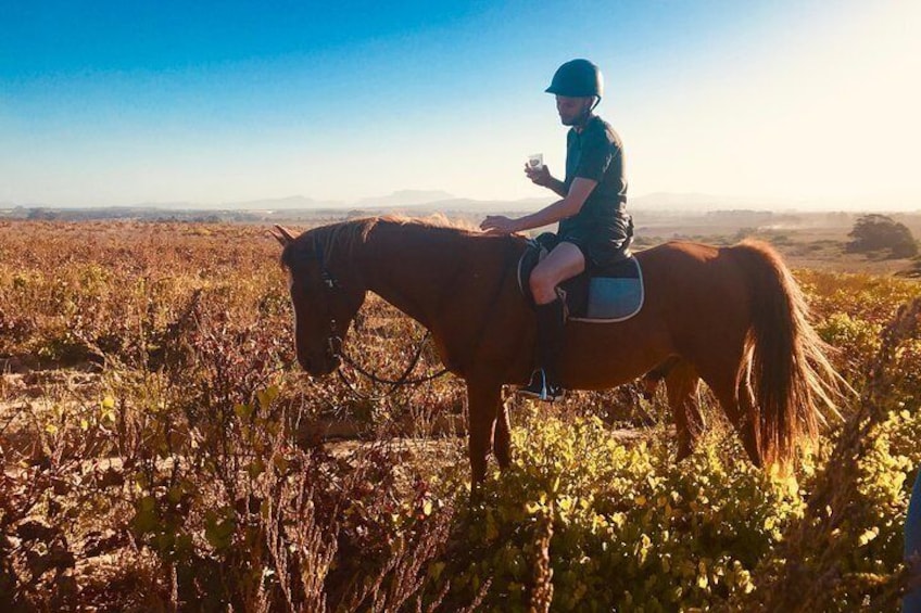 Wine tasting on horseback with Table mountain as your backdrop