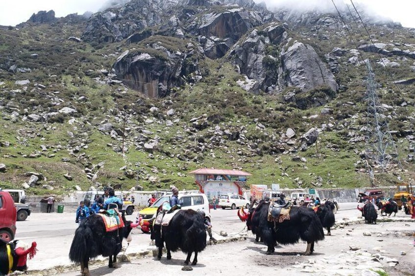 Mesmerizing Sikkim & Darjeeling