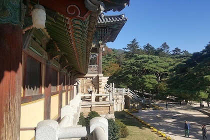 Gyeongju city tour by KTX bullet train from Seoul