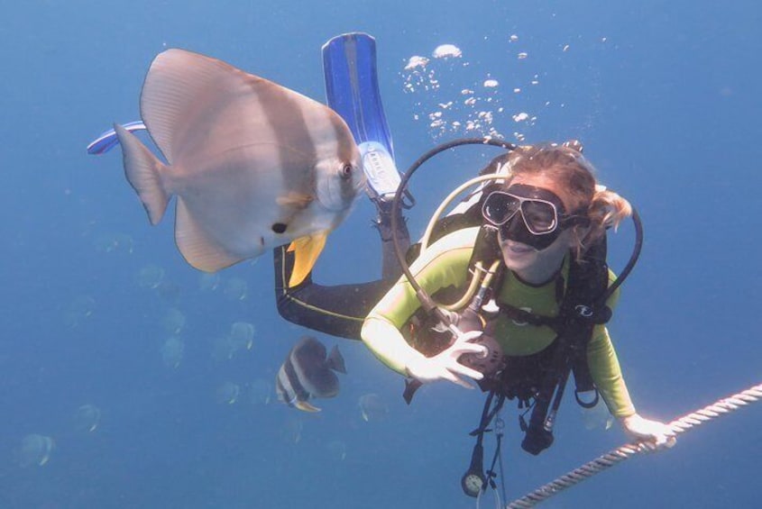Extend your diving limits in 2 days - PADI Advanced Diver Course