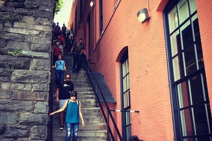 Visita guiada a pie por la arquitectura histórica de Georgetown