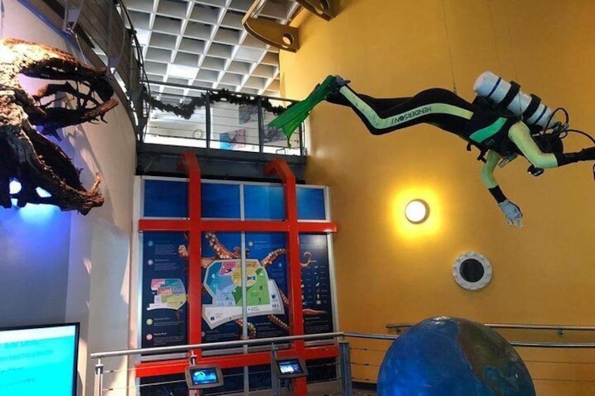 Bermuda Underwater Exploration Institute and Aquarium Adventure Day