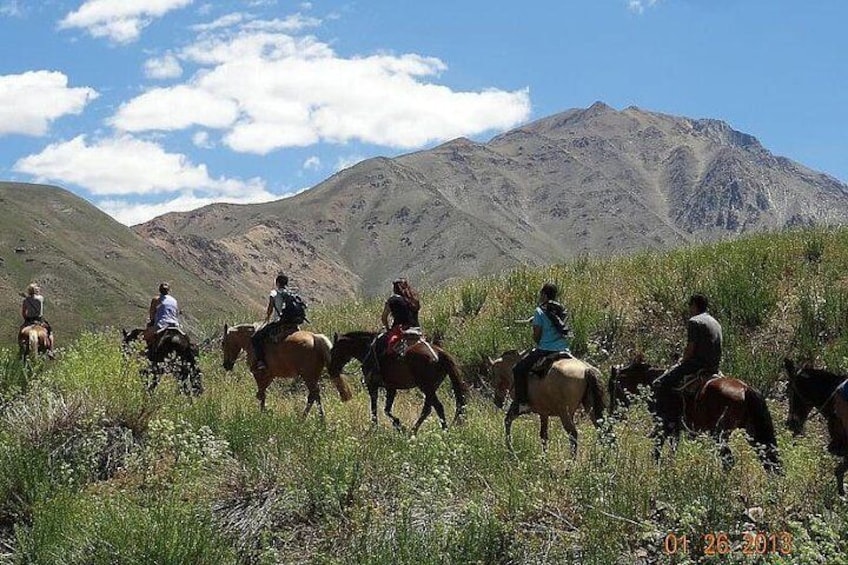 Private Horse Riding Tour in The Andes from Santiago, Carbon Neutral