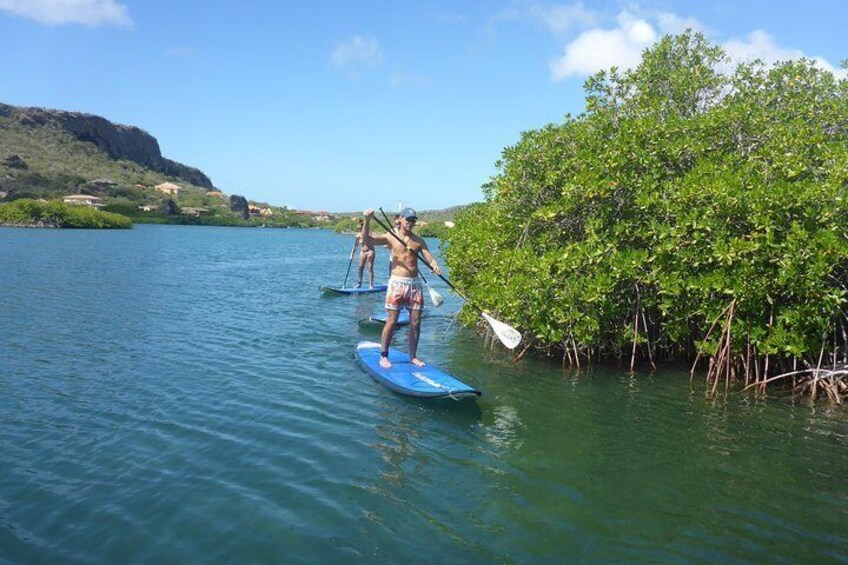 Guided paddleboarding (SUP) mangrove ECO tour for beginners