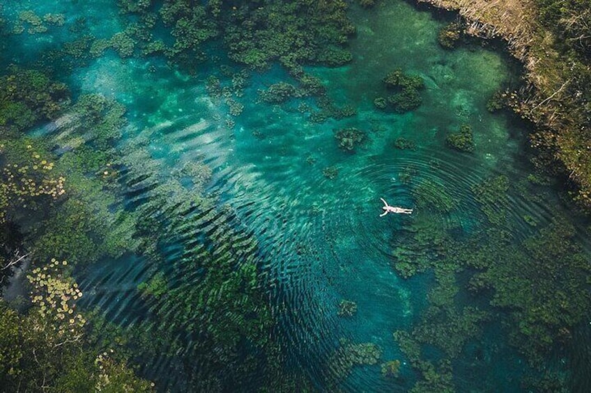Discover "Crater Azul" & Its Crystal-Clear Waters On A Full-Day Tour From Flores