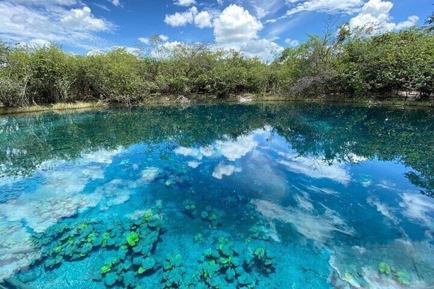 Discover "Crater Azul" & Its Crystal-Clear Waters On A Full-Day Tour From Flores