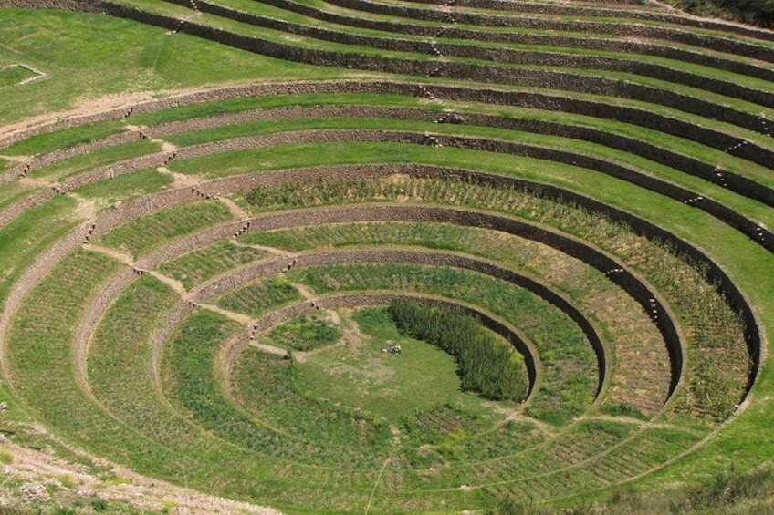 Maras, Moray and Salt Mines Private Tour