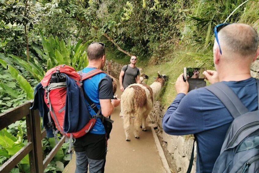 2 Day Inca Trail Hike to Machu Picchu