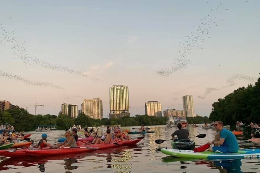 Sunset Skyline Kayak Tour