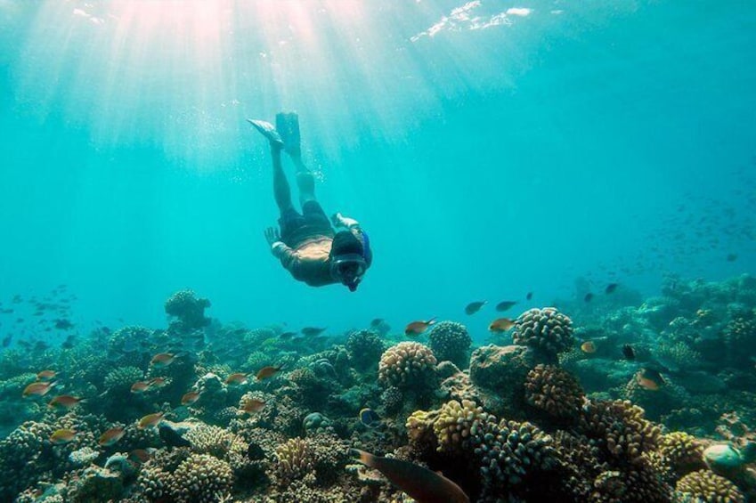 Night Snorkeling Experience in Dhiffushi Island