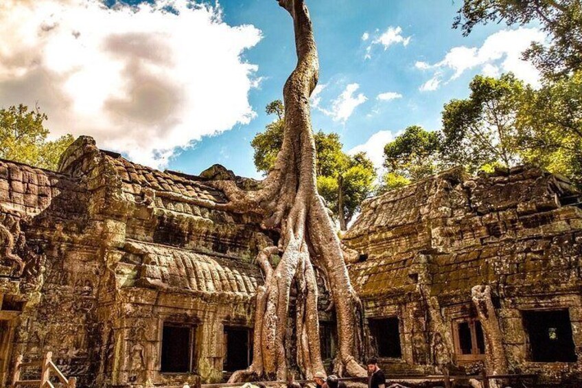 Ta Phrom Temple