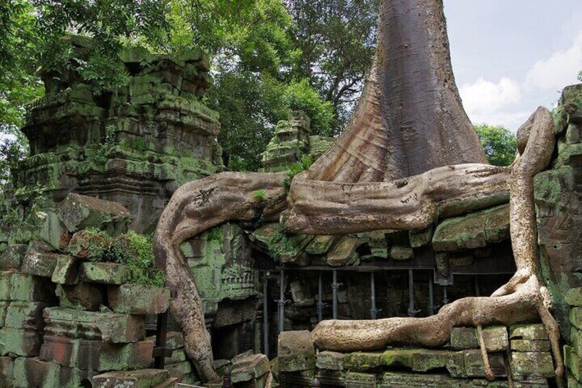 Angkor Wat Admission Ticket