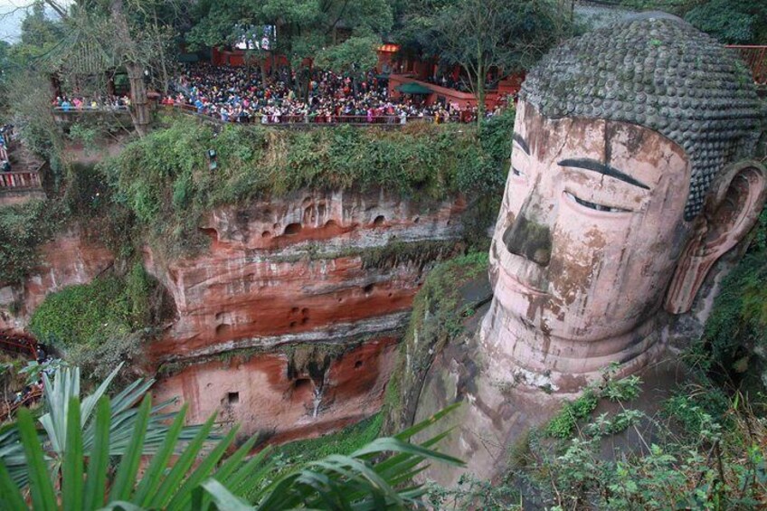 Leshan Giant Buddha and Huanglongxi Ancient Town Day Trip