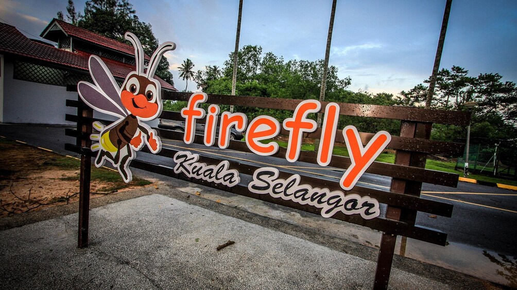 Magical fireflies and Kampong Life