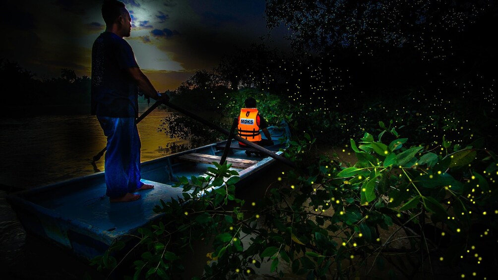 Magical fireflies and Kampong Life