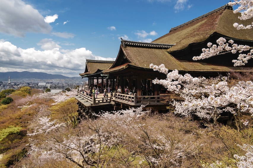 Kyoto and Sagano Romantic Train Tour with Halal Lunch