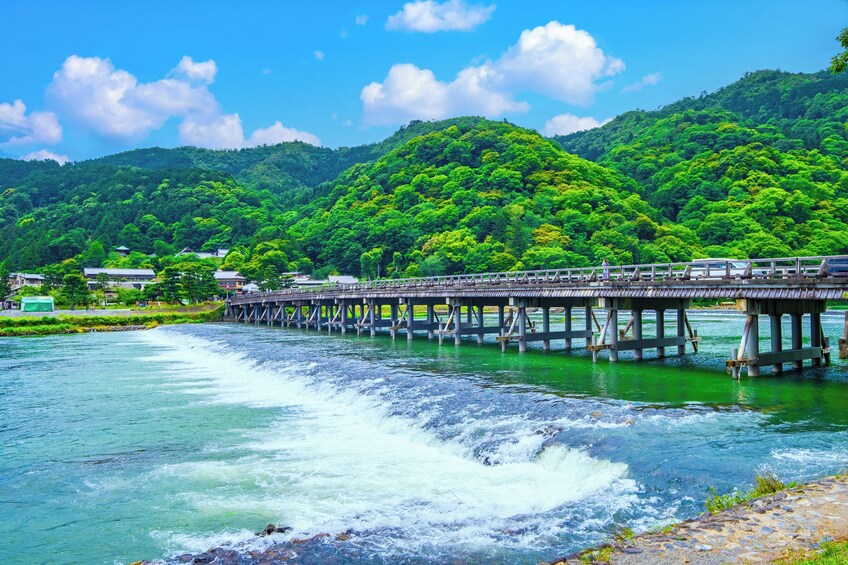 Sagano Train/Guided Tour (Fushimi Inari, Kiyomizudera, Bamboo Forest)