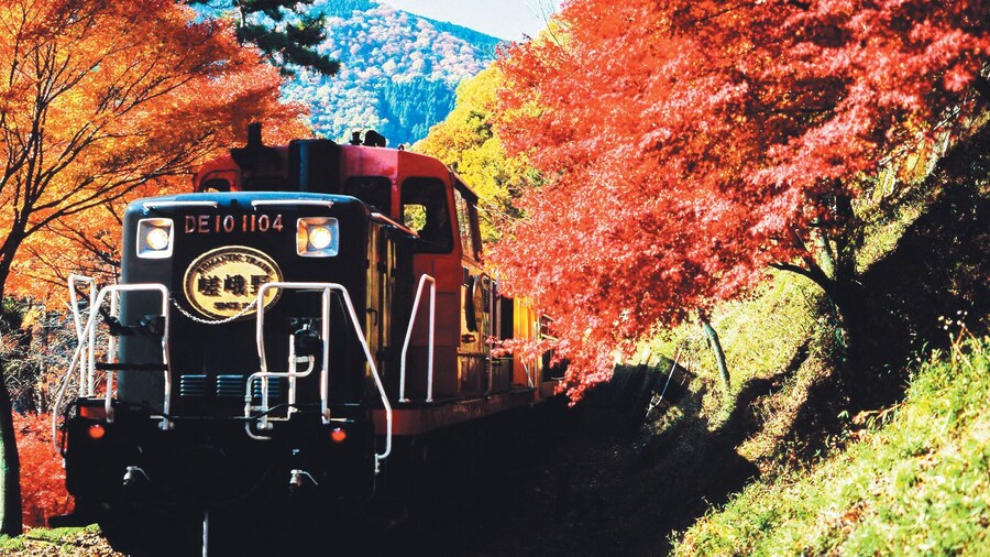 Kyoto and Sagano Romantic Train Tour with Halal Lunch