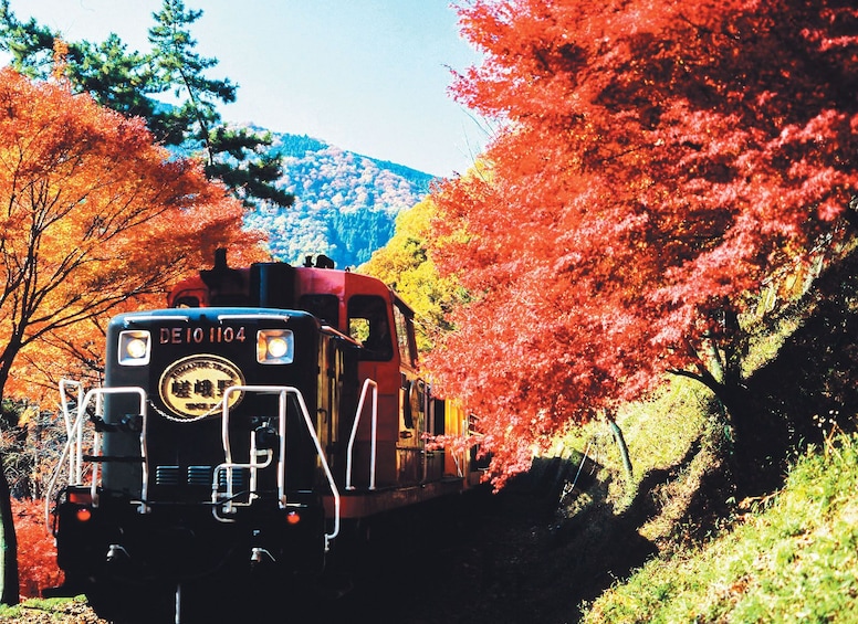 Kyoto and Sagano Romantic Train Tour with Halal Lunch