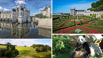 Loire Valley Castles & Panda Zoo, 2Day Private tour - Paris