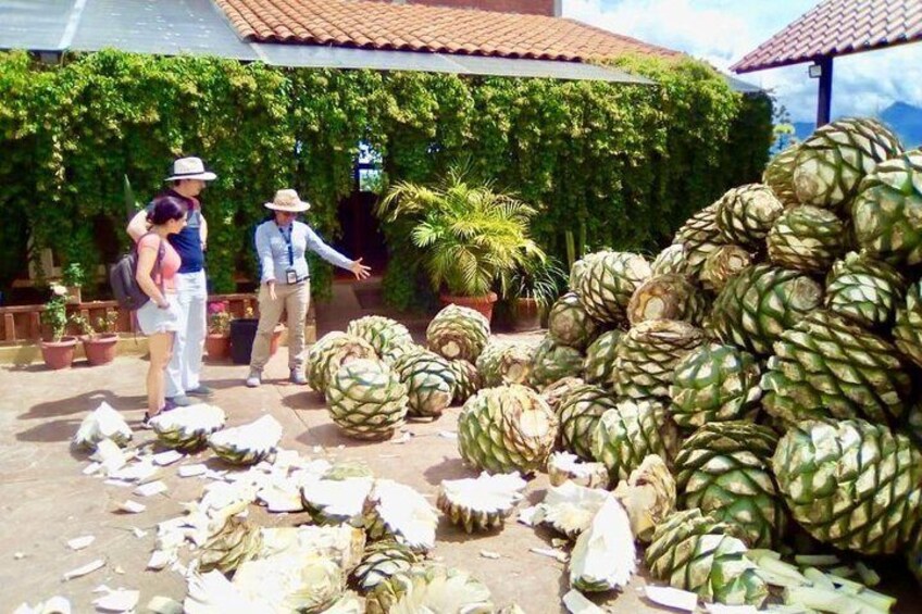 Mezcal distellery,Oaxaca