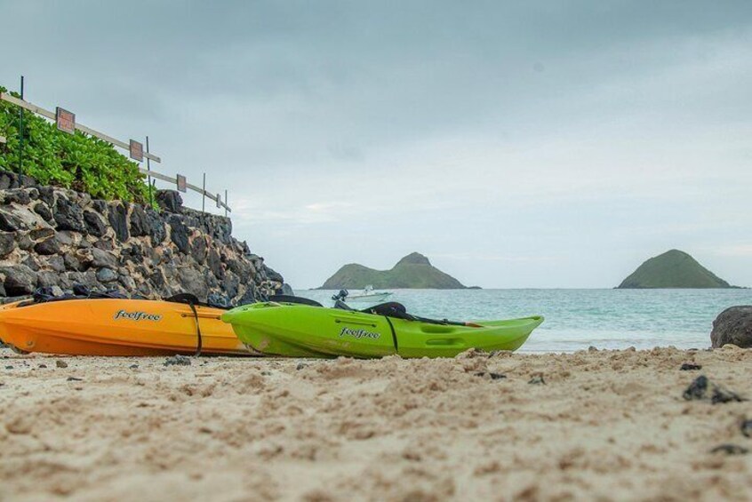 Learn to Surf, Kayak OR Stand-up Paddle board in a group